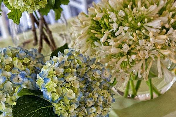 Simplicity Floral