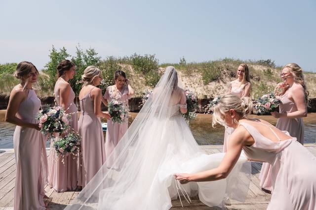 Wedding party and bride
