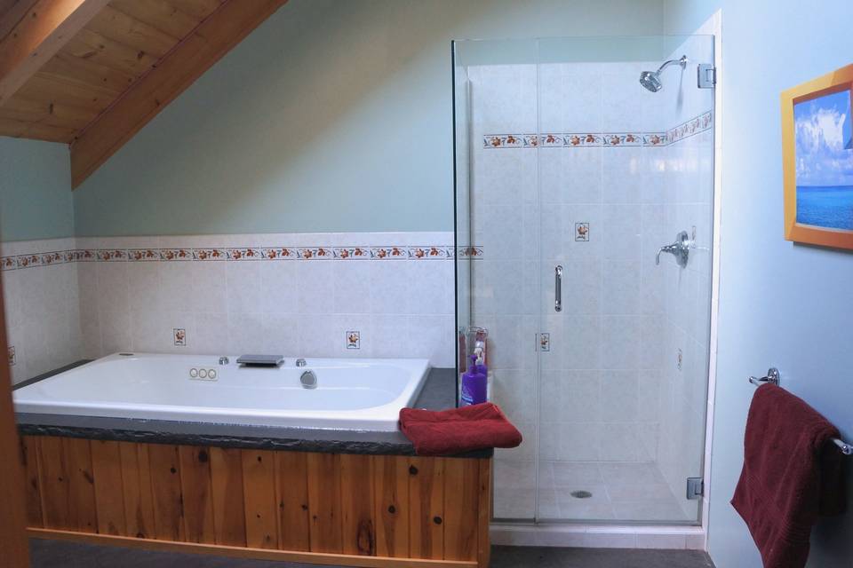 Primary suite bathroom