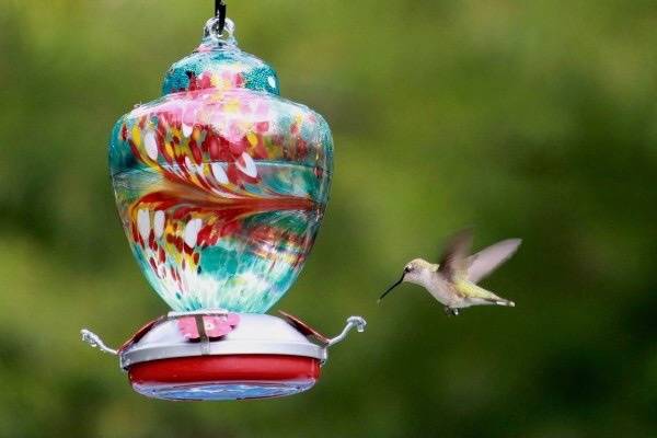 Hummingbird feeder