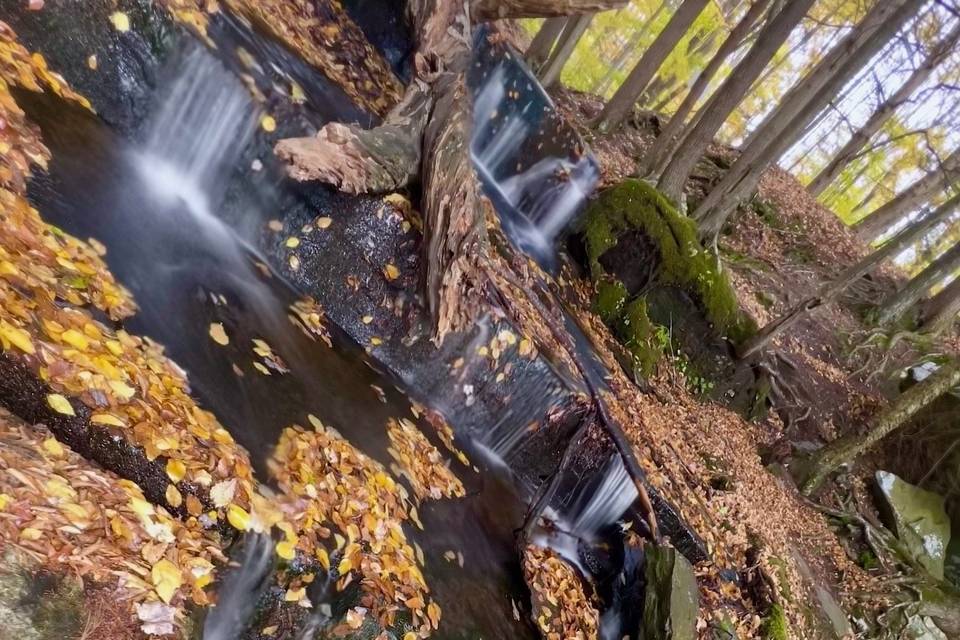 Waterfalls