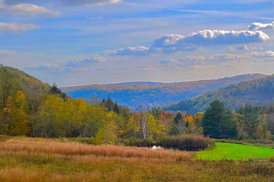 View of mountains and pond