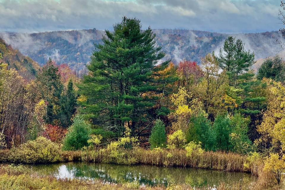 View of mountains and pond