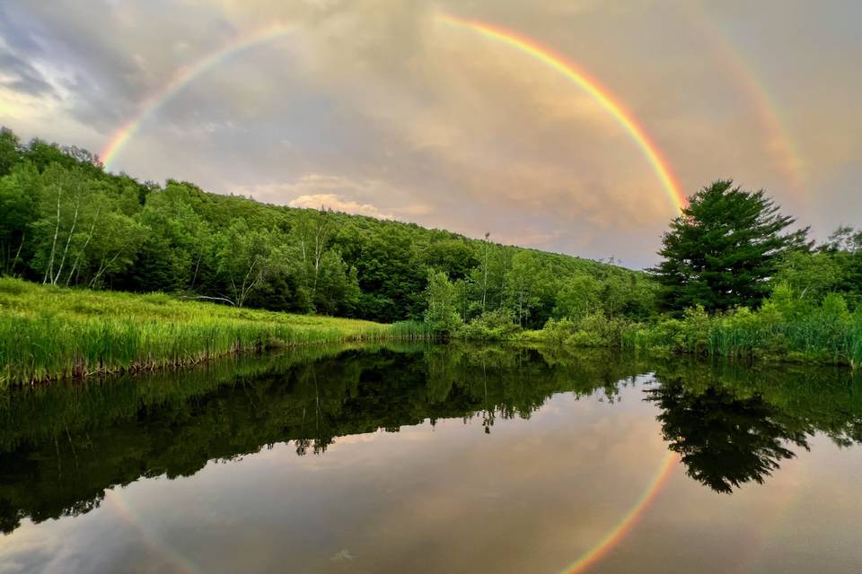 Pond with rainbow