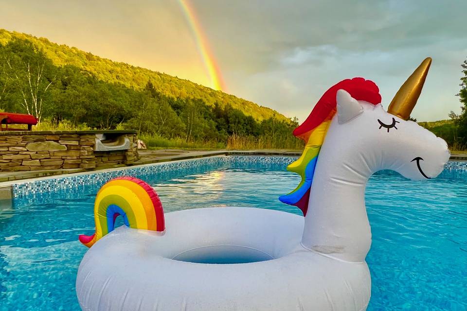 Unicorn and rainbow