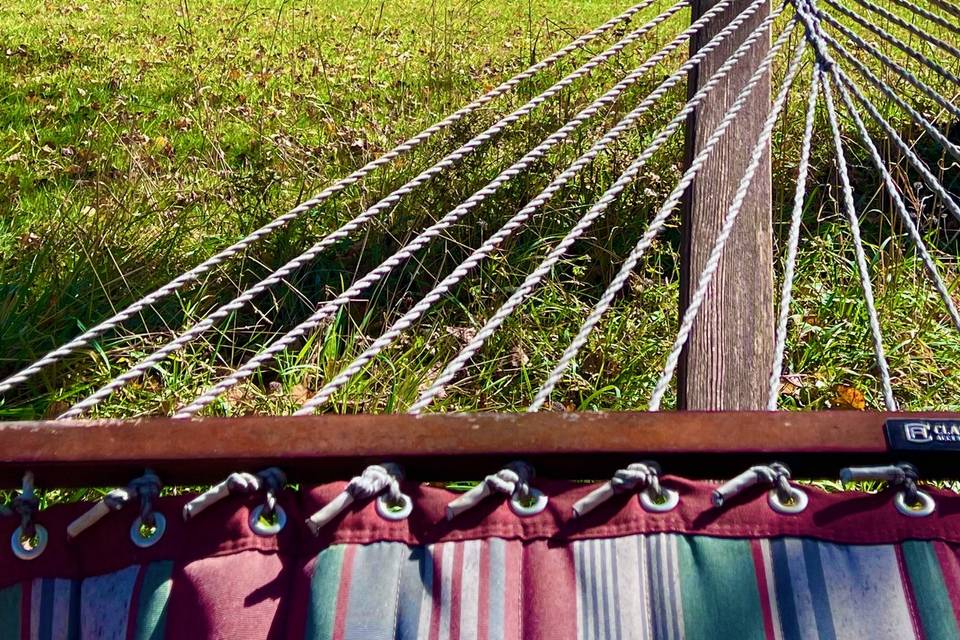 Hammock by pond