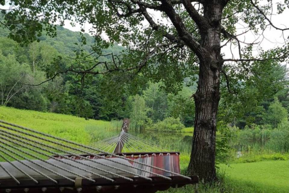 Hammock by pond