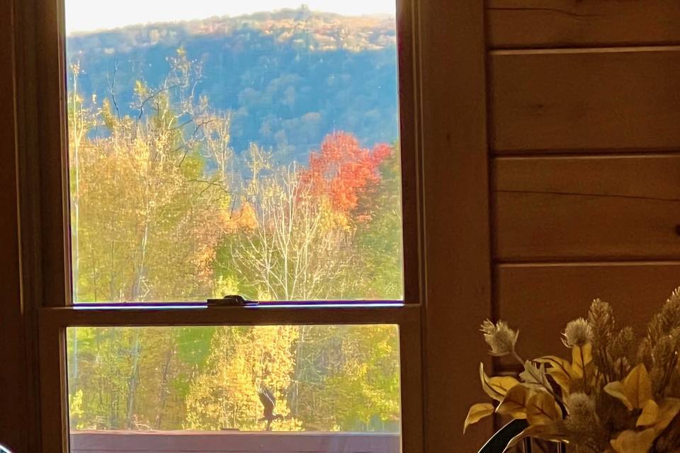 View from dining room