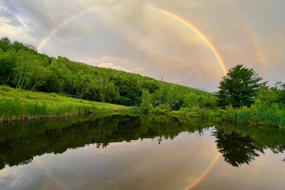 Pond view with rainbow