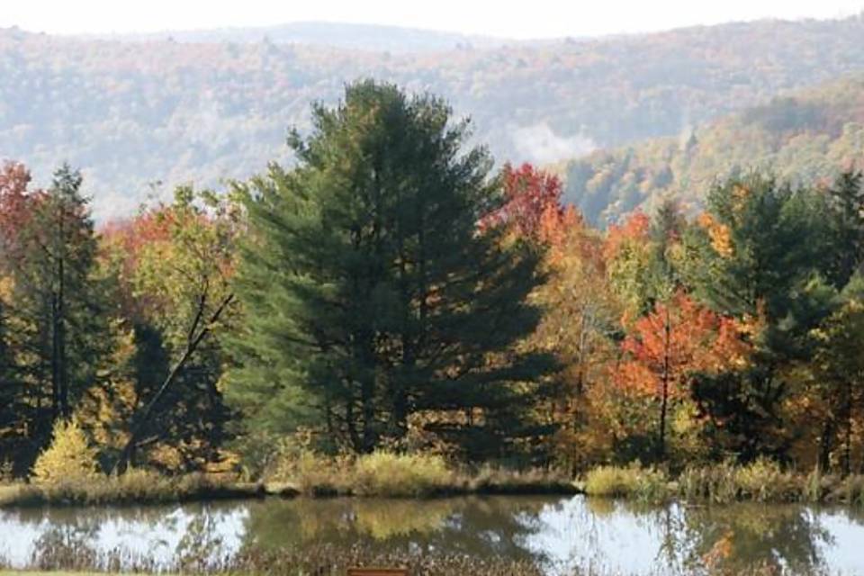 Middle pond