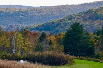 Mountain Meadows and Ponds