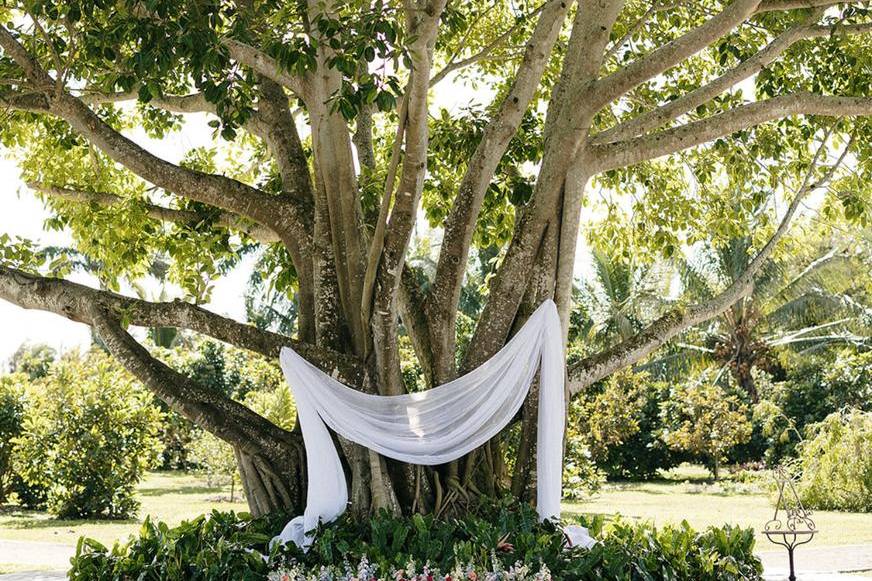 Cinco Farm,Miami