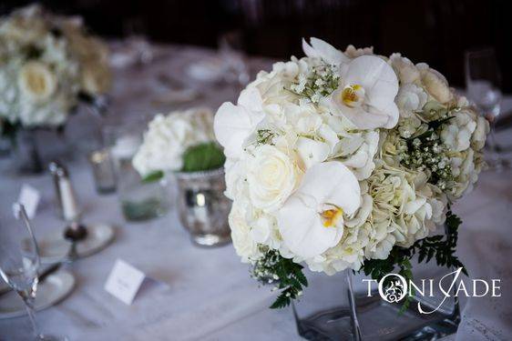 Low centerpiece with orchid