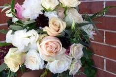 Willow Specialty Florist
