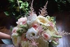 Willow Specialty Florist