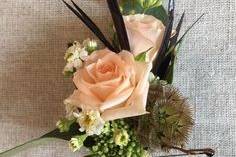 Willow Specialty Florist