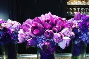Purple flowers