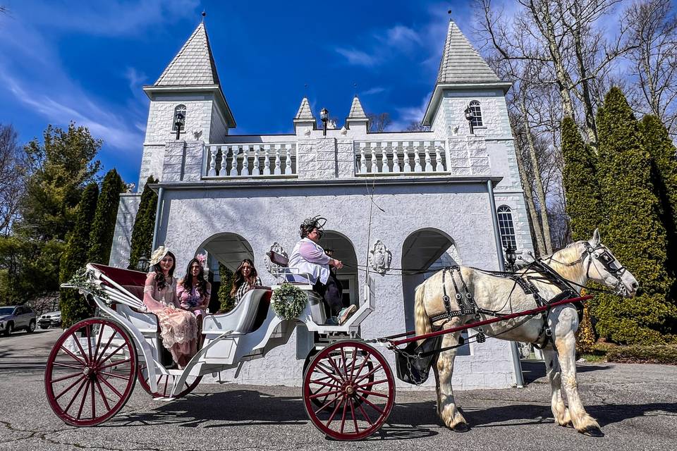 Horse & Carriage Rides