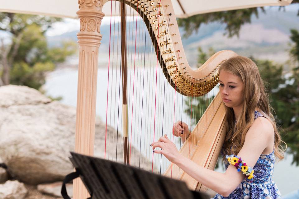 Claire Honl Harpist