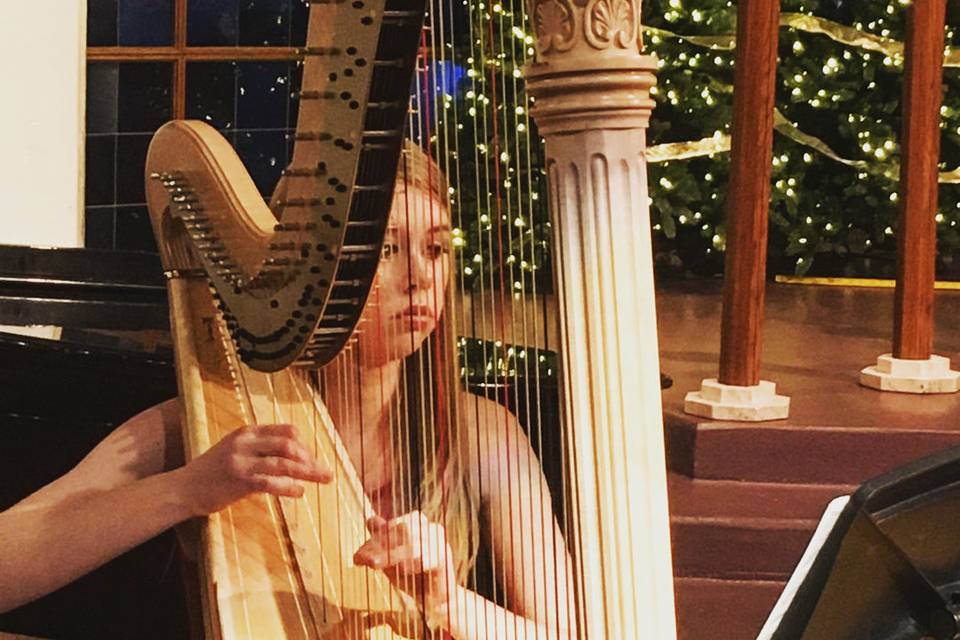 Claire Honl Harpist