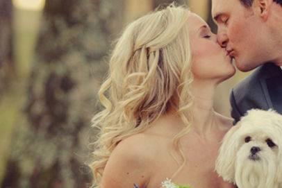 Newlyweds kissing and their dog