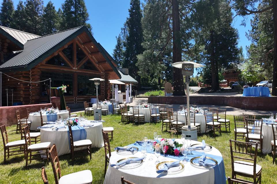 Decor & Chairs