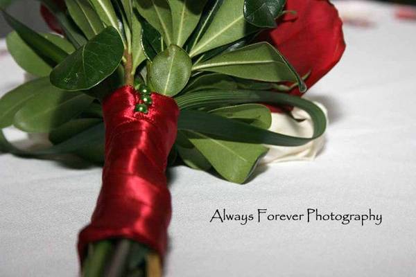 Always Forever Photography