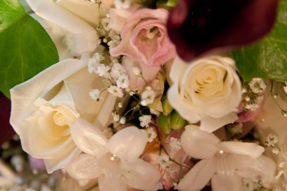 Alexis Lauren Events
