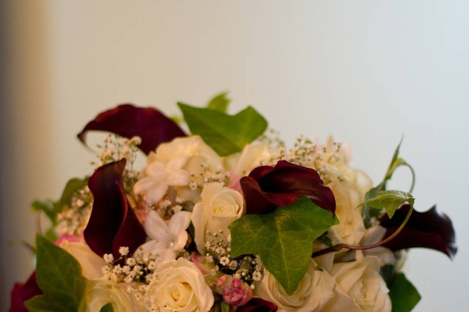 Alexis Lauren Events