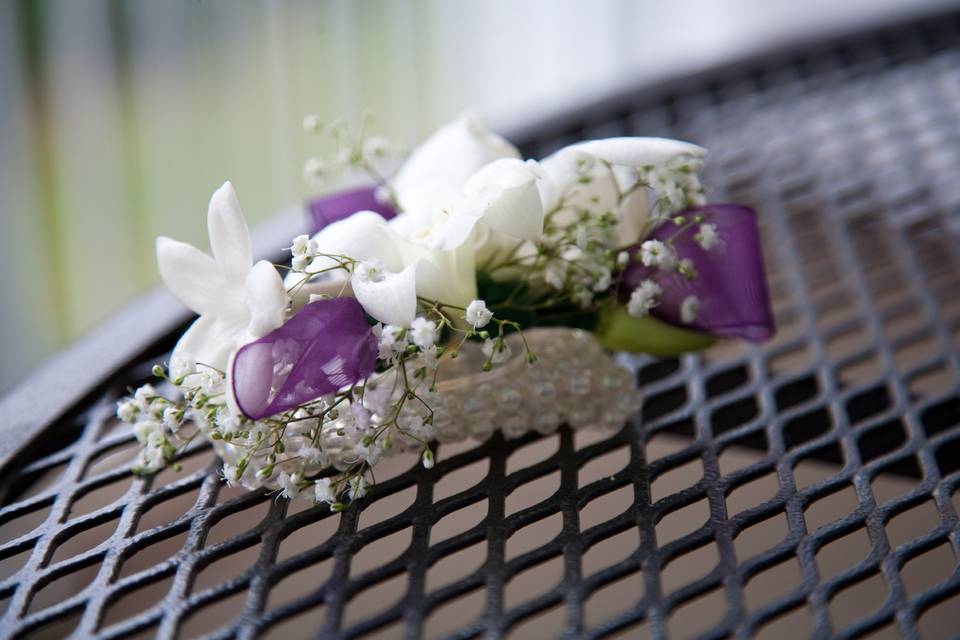 Alexis Lauren Events