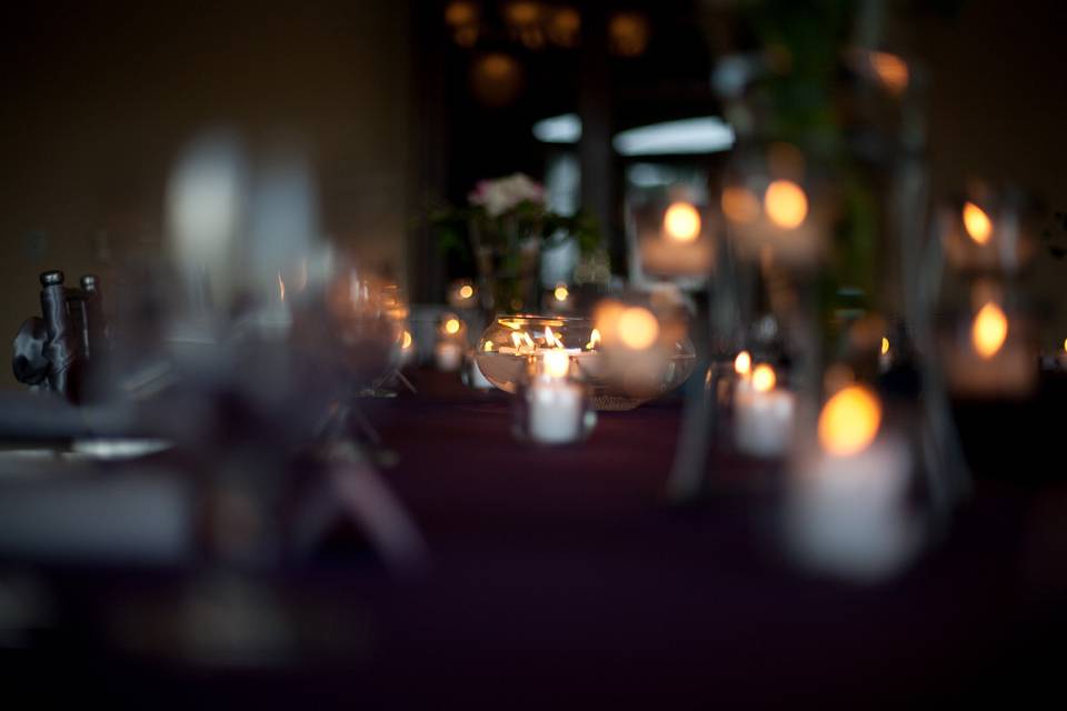 Alexis Lauren Events