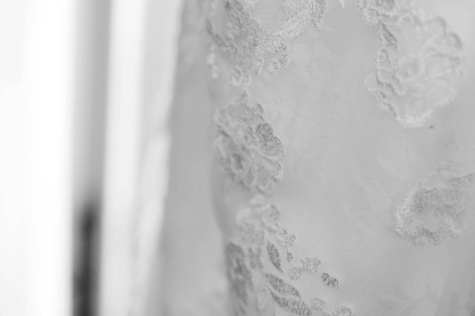 Alexis Lauren Events