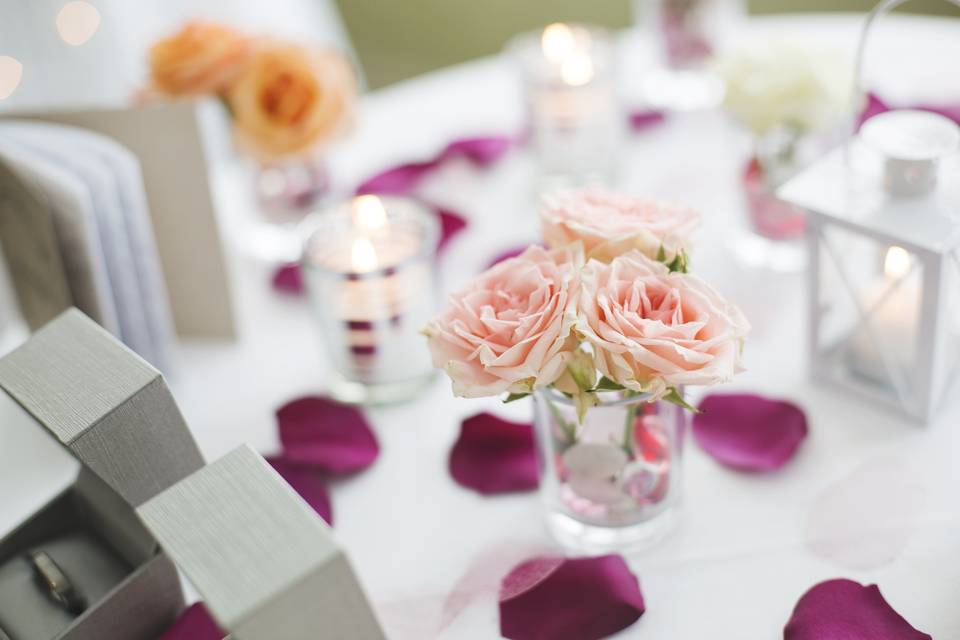 Alexis Lauren Events