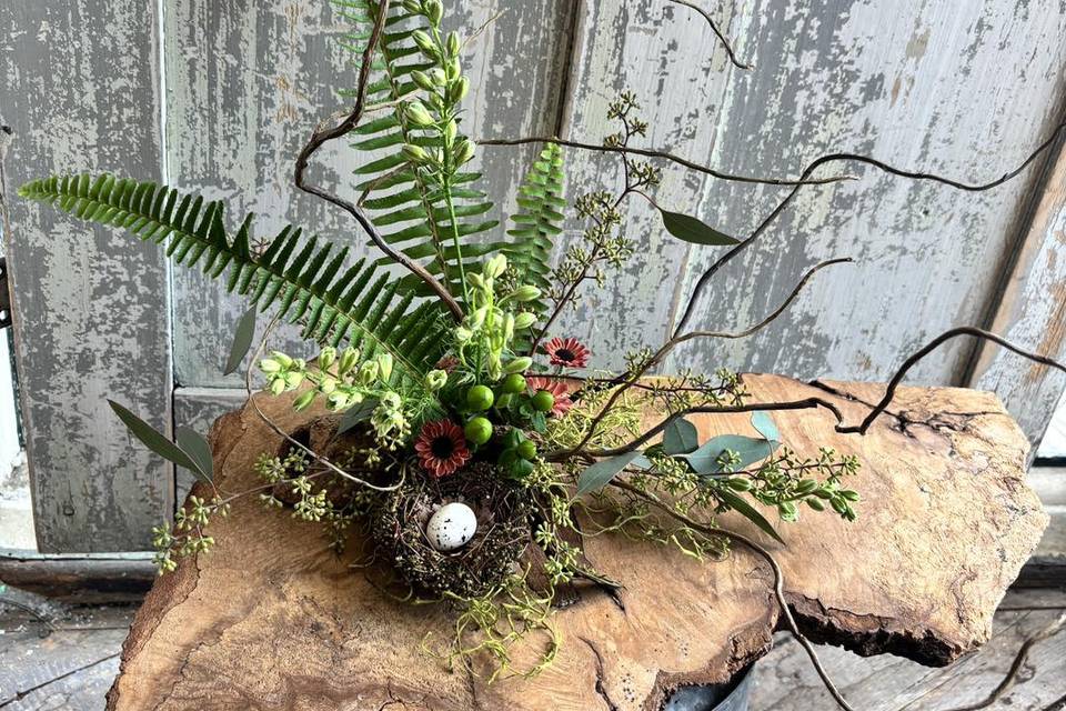 Sculptural Centerpiece