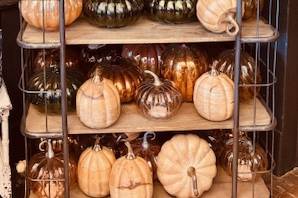 Pumpkin Collection Sample