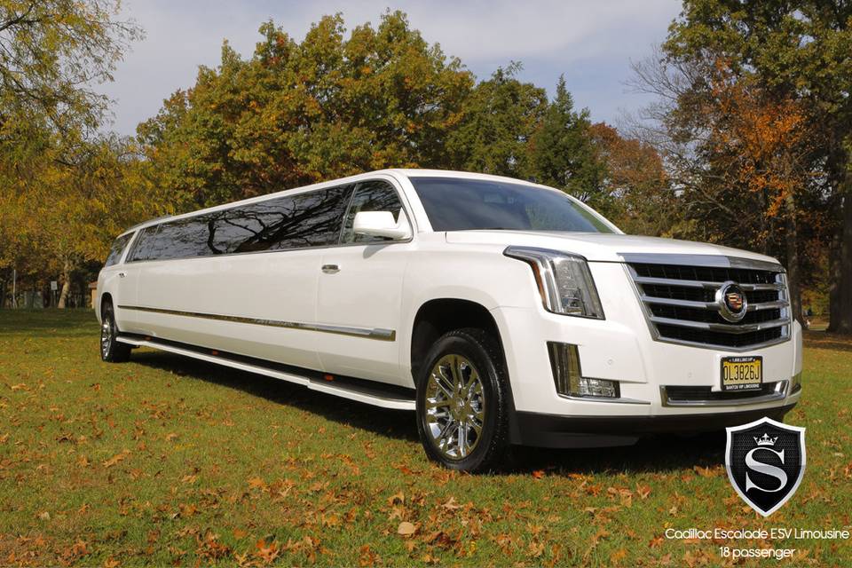 Santos VIP Limousine