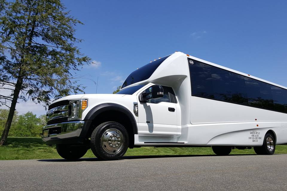 28 passenger limo coach party bus