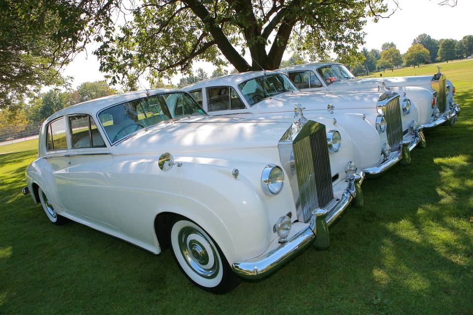 1960 Rolls Royce Silver Cloud II - left1962 Bentley S2 - center1964 Rolls Royce Silver Cloud III - right