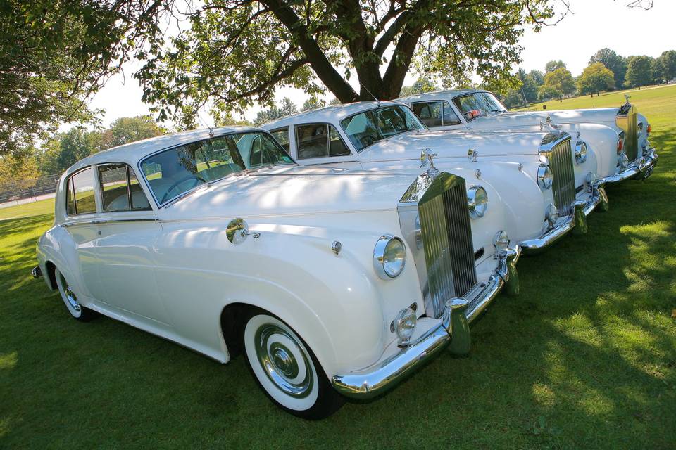 1960 Rolls Royce Silver Cloud II - left1964 Rolls Royce Silver Cloud III - center1962 Bentley S2 - right