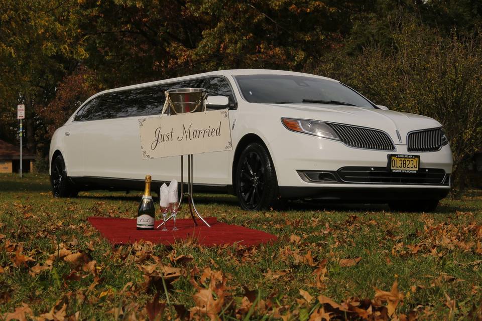 10 passenger Lincoln MKS Stretch Limousine - Santos VIP Limousine of New Jersey