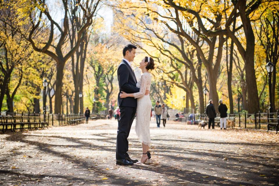 Central Park - Autumn