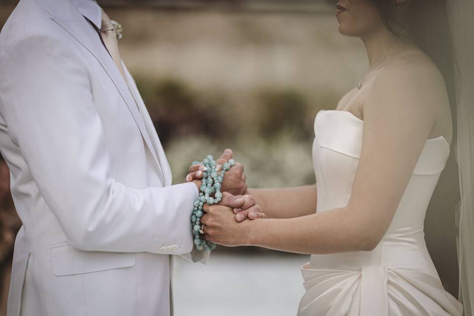 Alexia & Joshua wedding
