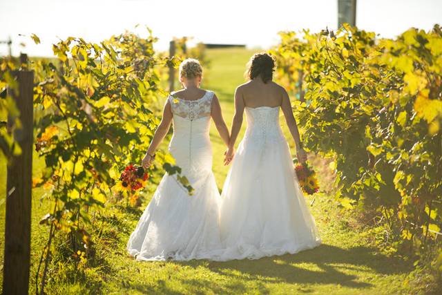 Over The Vines Vineyard & Wine Barn - Venue - Edgerton, WI - WeddingWire