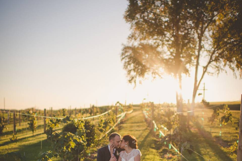 Couple's portrait