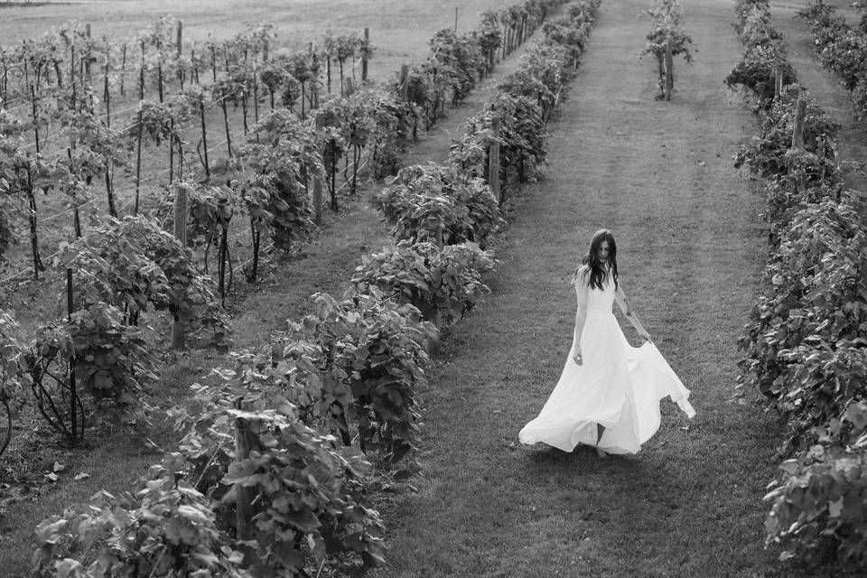 Vineyard Bride