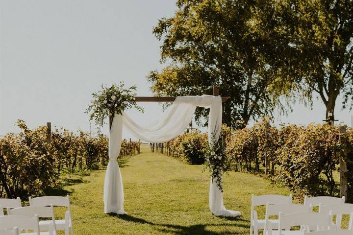 Vineyard