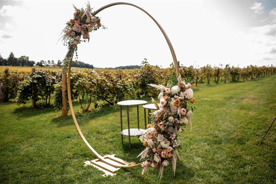 Vineyard