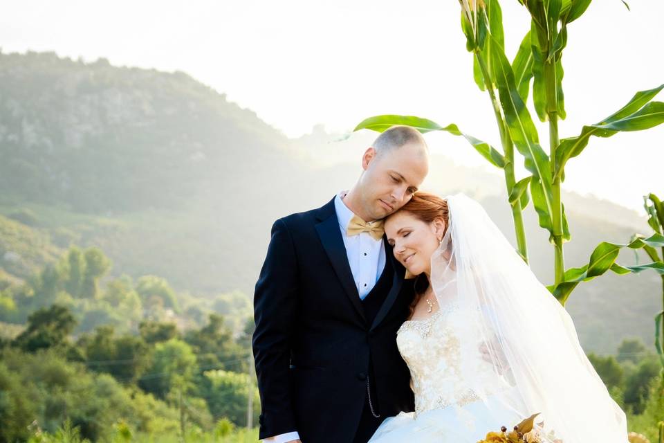 The bride and groom