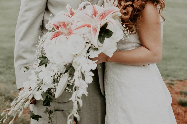 Bella Navi Photography LLC