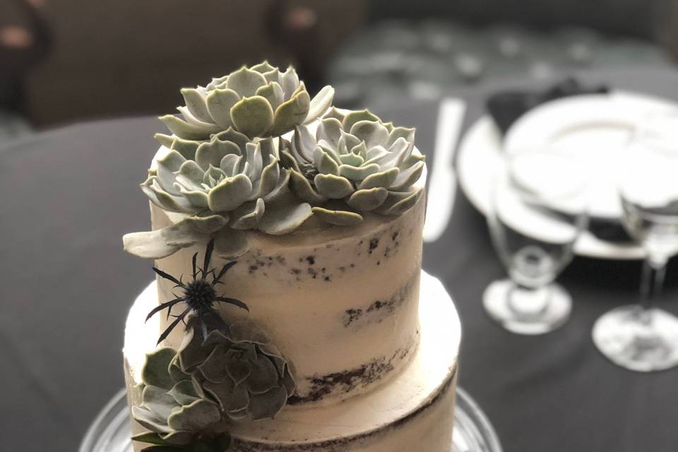 Naked Cake with Succulents